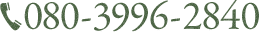 080-3996-2840